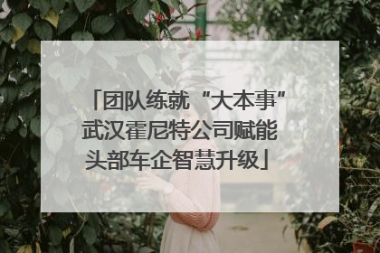 团队练就“大本事” 武汉霍尼特公司赋能头部车企智慧升级