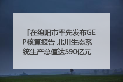 在绵阳市率先发布GEP核算报告 北川生态系统生产总值达590亿元｜新闻发布最前线