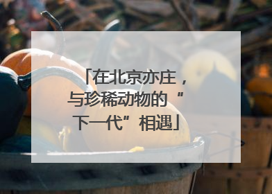 在北京亦庄，与珍稀动物的“下一代”相遇