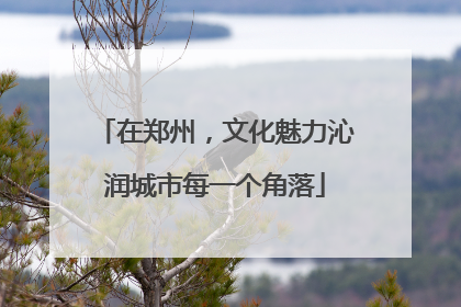 在郑州，文化魅力沁润城市每一个角落