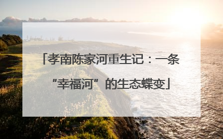 孝南陈家河重生记：一条“幸福河”的生态蝶变