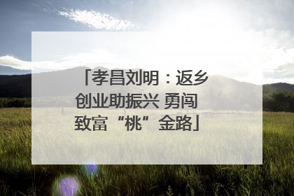 孝昌刘明：返乡创业助振兴 勇闯致富“桃”金路