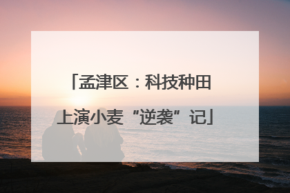 孟津区：科技种田 上演小麦“逆袭”记