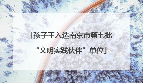 孩子王入选南京市第七批“文明实践伙伴”单位