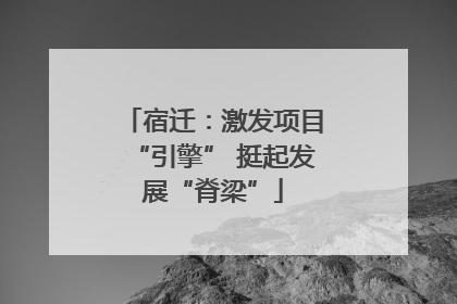 宿迁：激发项目“引擎” 挺起发展“脊梁”