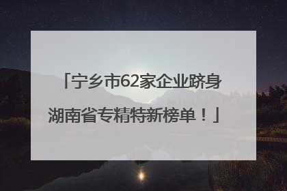 宁乡市62家企业跻身湖南省专精特新榜单！