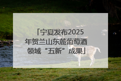 宁夏发布2025年贺兰山东麓葡萄酒领域“五新”成果