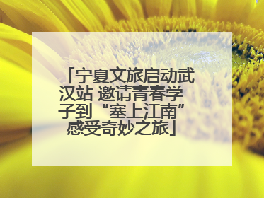 宁夏文旅启动武汉站 邀请青春学子到“塞上江南”感受奇妙之旅