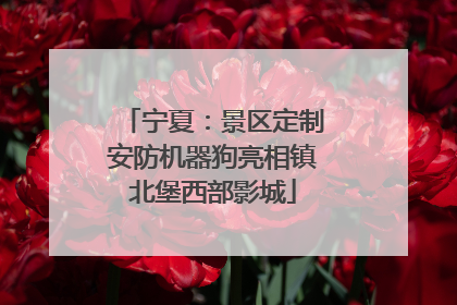 宁夏：景区定制安防机器狗亮相镇北堡西部影城