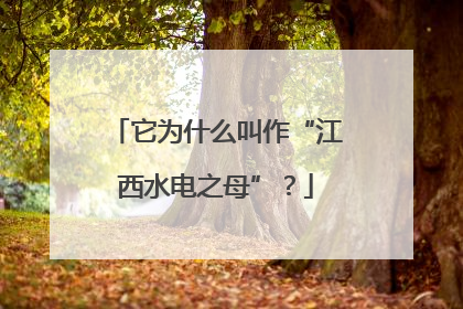它为什么叫作“江西水电之母”？