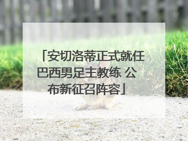 安切洛蒂正式就任巴西男足主教练 公布新征召阵容