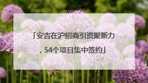 安吉在沪招商引资聚新力，54个项目集中签约