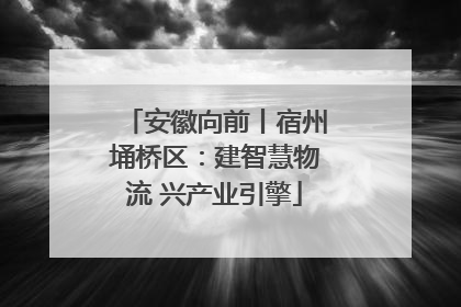 安徽向前丨宿州埇桥区：建智慧物流 兴产业引擎