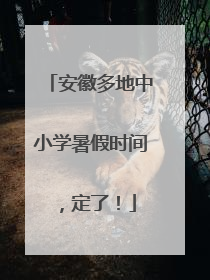 安徽多地中小学暑假时间，定了！