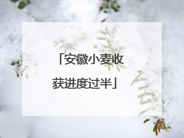 安徽小麦收获进度过半
