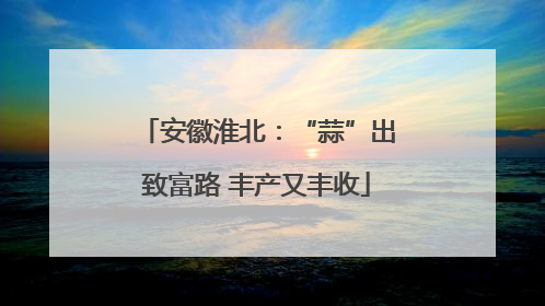 安徽淮北：“蒜”出致富路 丰产又丰收