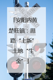 安阳内黄楚旺镇：思路“上新” 土地“生金”