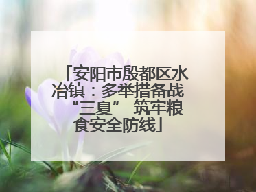 安阳市殷都区水冶镇：多举措备战“三夏” 筑牢粮食安全防线