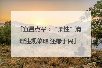 宜昌点军：“柔性”清理违规菜地 还绿于民