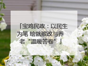宝鸡民政：以民生为笔 绘就殡改与养老“温暖答卷”