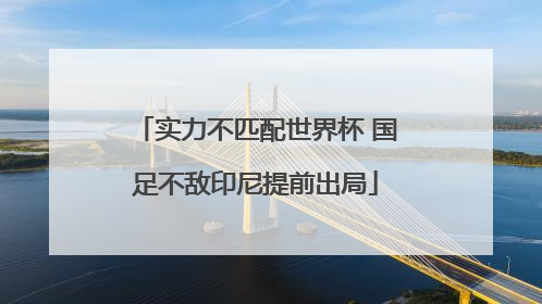 实力不匹配世界杯 国足不敌印尼提前出局