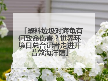 塑料垃圾对海龟有何致命伤害？世界环境日总台记者走进开普敦海洋馆