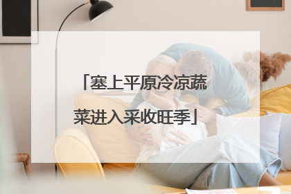 塞上平原冷凉蔬菜进入采收旺季