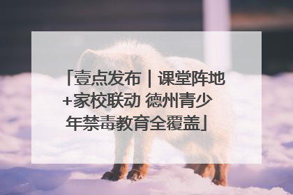 壹点发布｜课堂阵地+家校联动 德州青少年禁毒教育全覆盖
