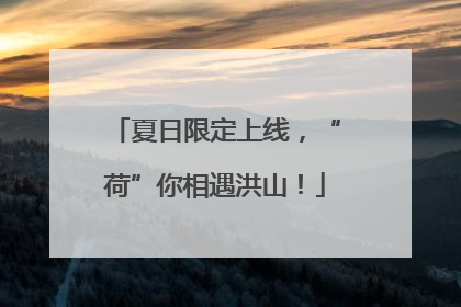 夏日限定上线，“荷”你相遇洪山！