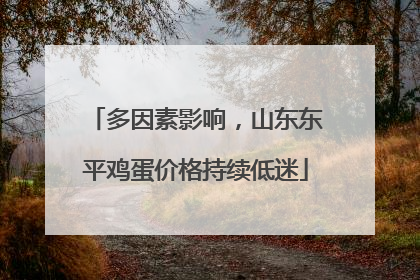 多因素影响，山东东平鸡蛋价格持续低迷