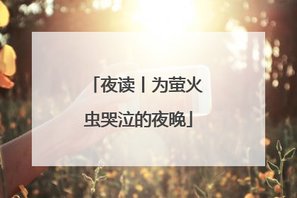 夜读丨为萤火虫哭泣的夜晚