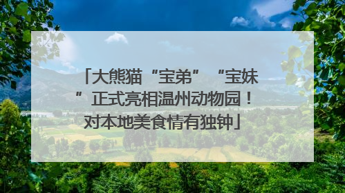 大熊猫“宝弟”“宝妹”正式亮相温州动物园！对本地美食情有独钟
