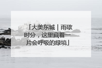 大美东城｜雨歇时分，这里藏着一片会呼吸的绿境
