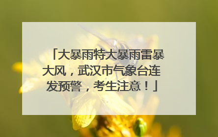 大暴雨特大暴雨雷暴大风，武汉市气象台连发预警，考生注意！