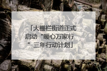 大栅栏街道正式启动“暖心万家行”三年行动计划