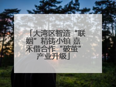 大湾区智造“联姻”精铸小镇 嘉禾借合作“破茧”产业升级