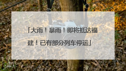 大雨！暴雨！即将抵达福建！已有部分列车停运