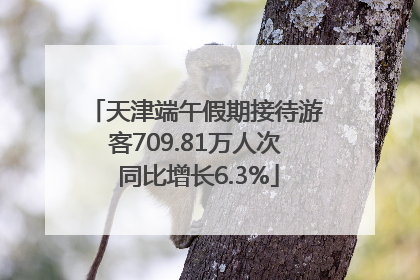 天津端午假期接待游客709.81万人次 同比增长6.3%