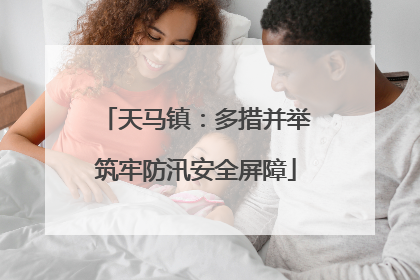 天马镇：多措并举筑牢防汛安全屏障