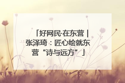 好网民·在东营｜张泽琦：匠心绘就东营“诗与远方”
