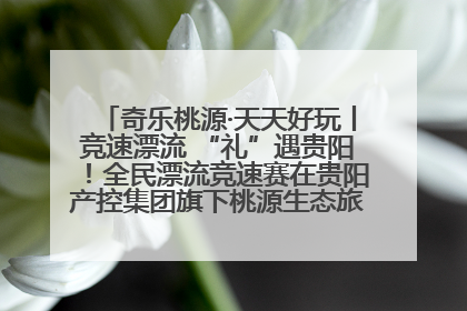 奇乐桃源·天天好玩丨竞速漂流 “礼”遇贵阳！全民漂流竞速赛在贵阳产控集团旗下桃源生态旅游度假区举行