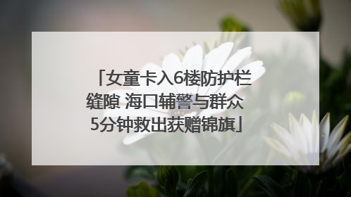女童卡入6楼防护栏缝隙 海口辅警与群众5分钟救出获赠锦旗