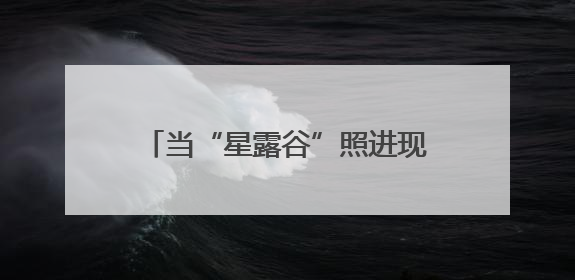 当“星露谷”照进现实：康旅集团乡村旅居的多元共生样本