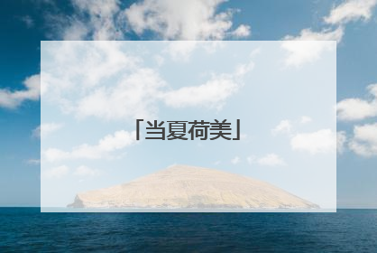 当夏荷美