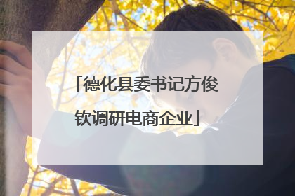 德化县委书记方俊钦调研电商企业