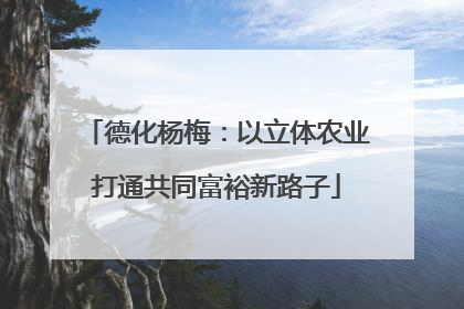 德化杨梅：以立体农业打通共同富裕新路子