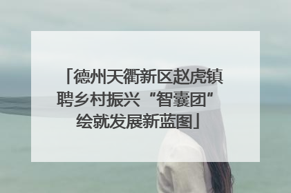 德州天衢新区赵虎镇聘乡村振兴“智囊团” 绘就发展新蓝图