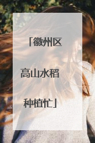 徽州区高山水稻种植忙