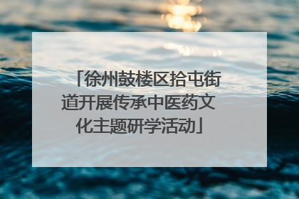 徐州鼓楼区拾屯街道开展传承中医药文化主题研学活动
