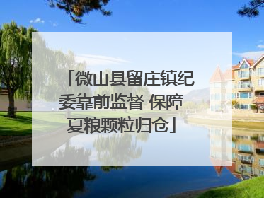 微山县留庄镇纪委靠前监督 保障夏粮颗粒归仓
